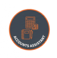 Accounts Assistant