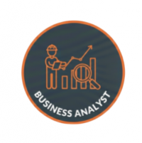Business Analyst